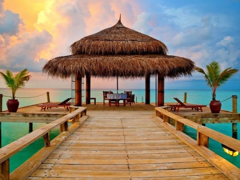 No. 1 Travel Company in South India