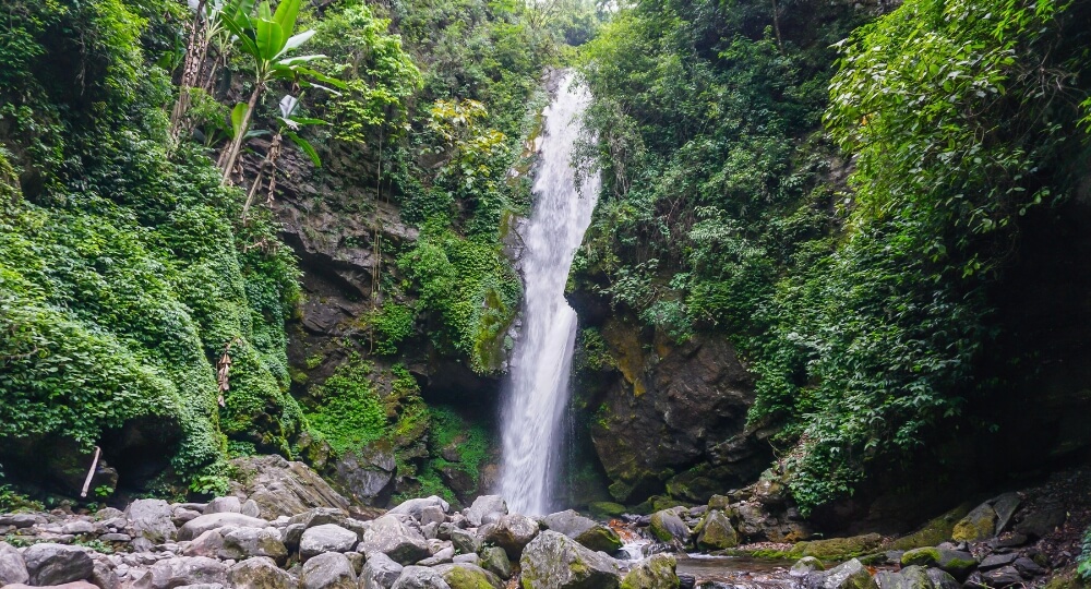 top pelling tour packages