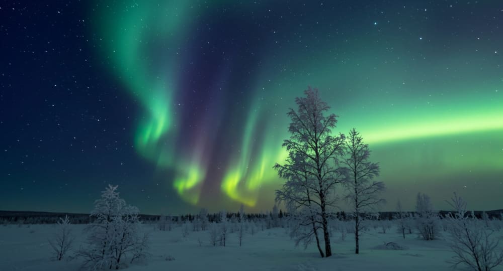 finland tour package from india
