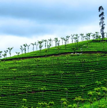 Ooty Tour Packages