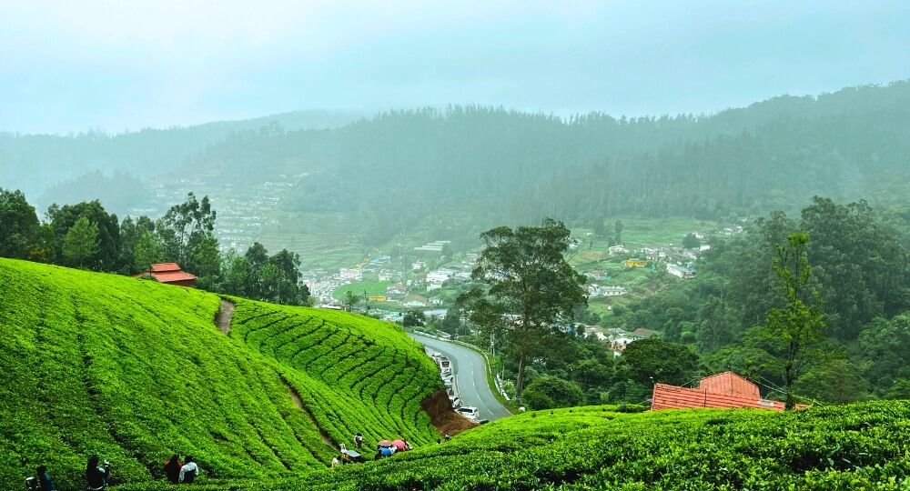 ooty tour packages