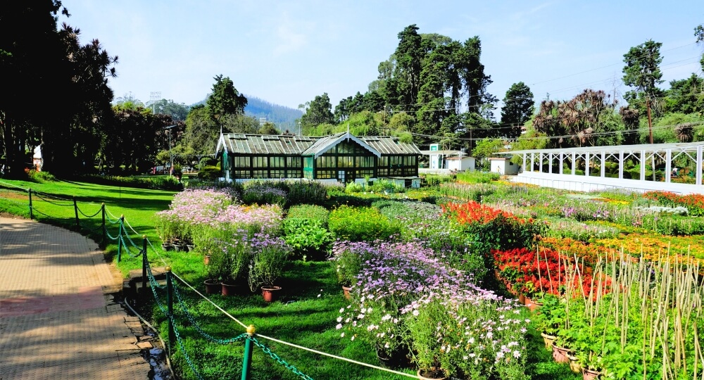 top ooty tour packages