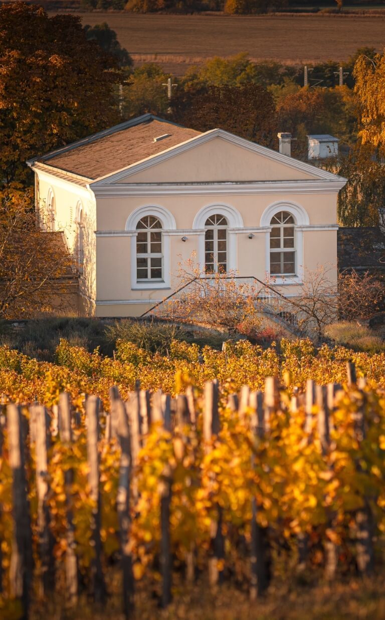 tokaj