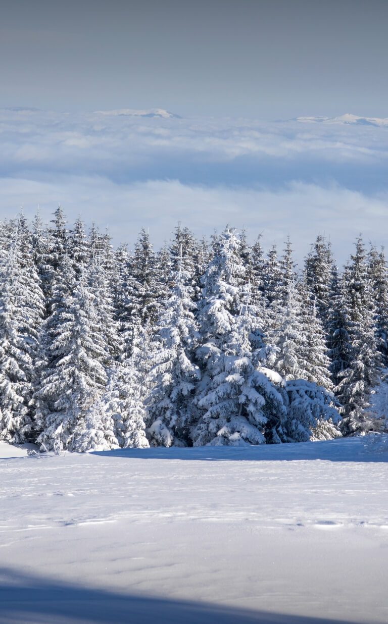 vitosha mountain