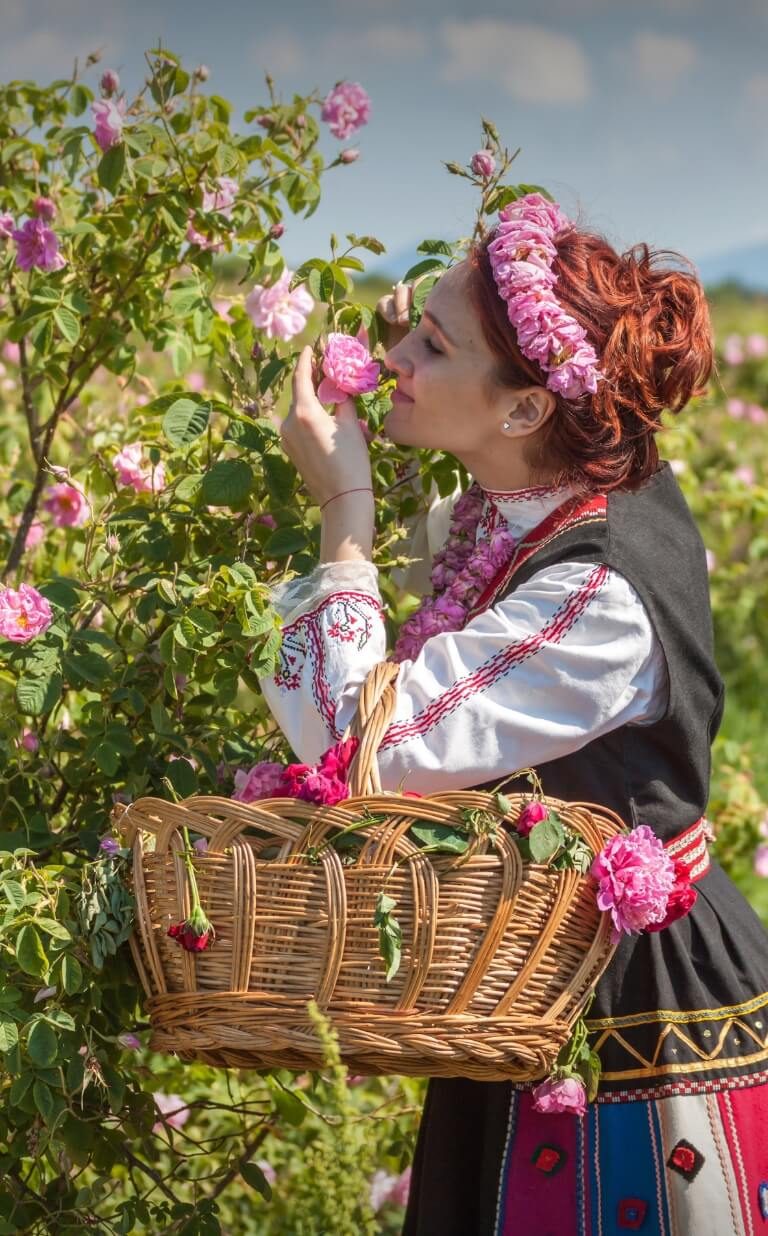 rose festival