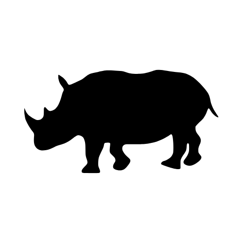 black rhinoceros