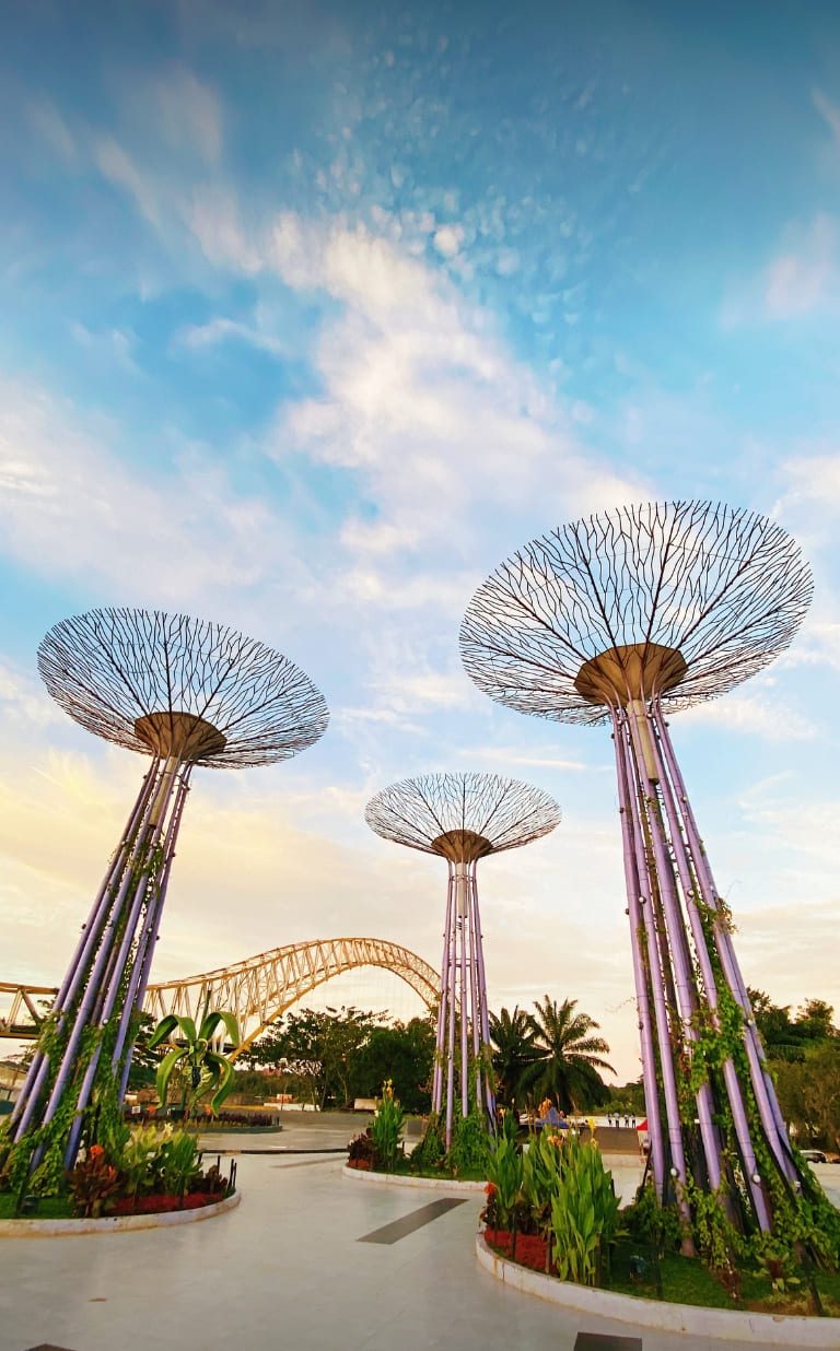 gardens by the bay