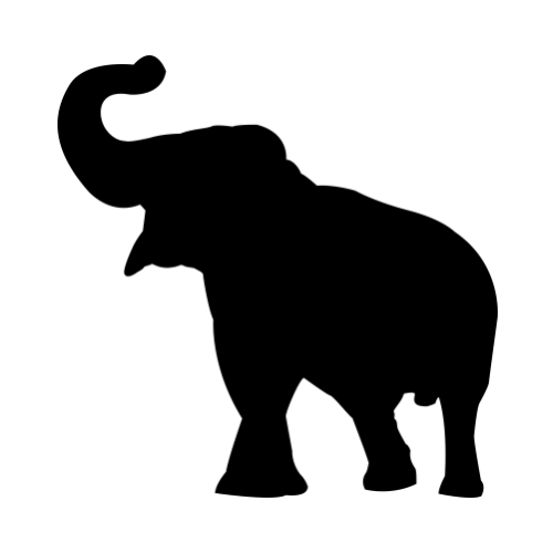 asian elephant