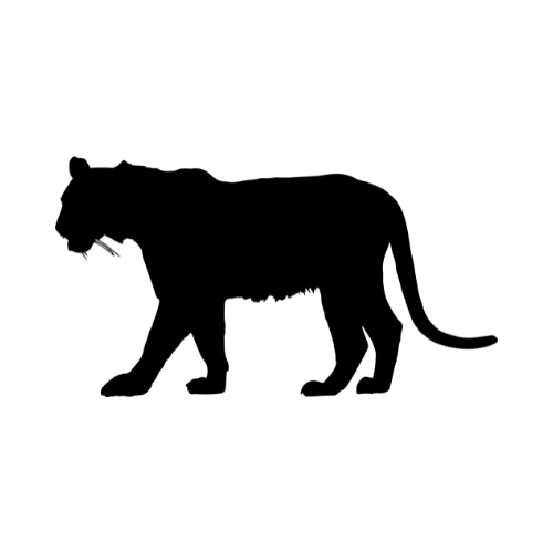 bengal tiger