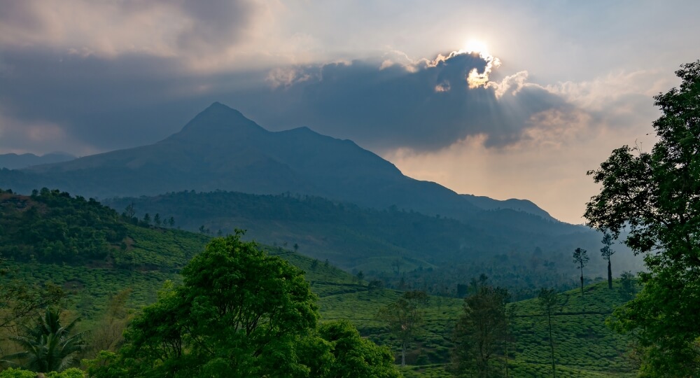 wayanad chembra mountain