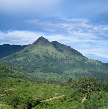 Wayanad Tour Packages
