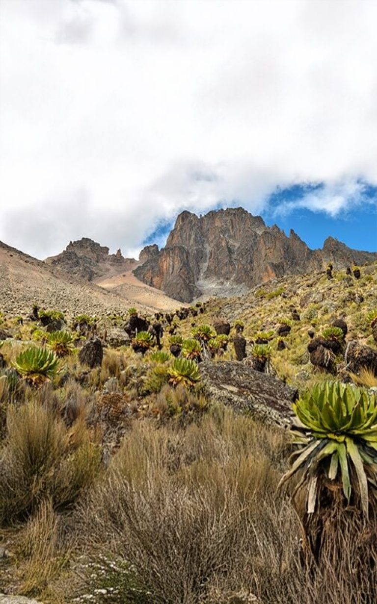 Mount Kenya