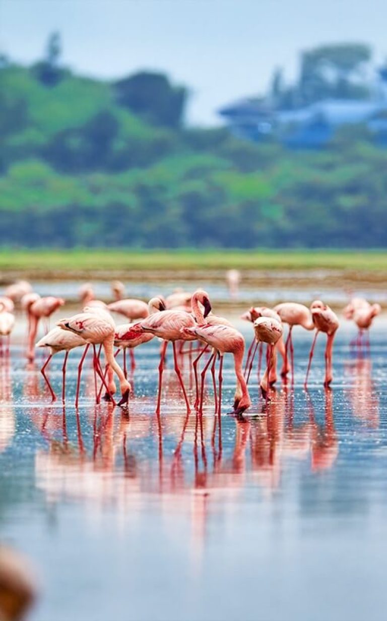 Lake Nakuru