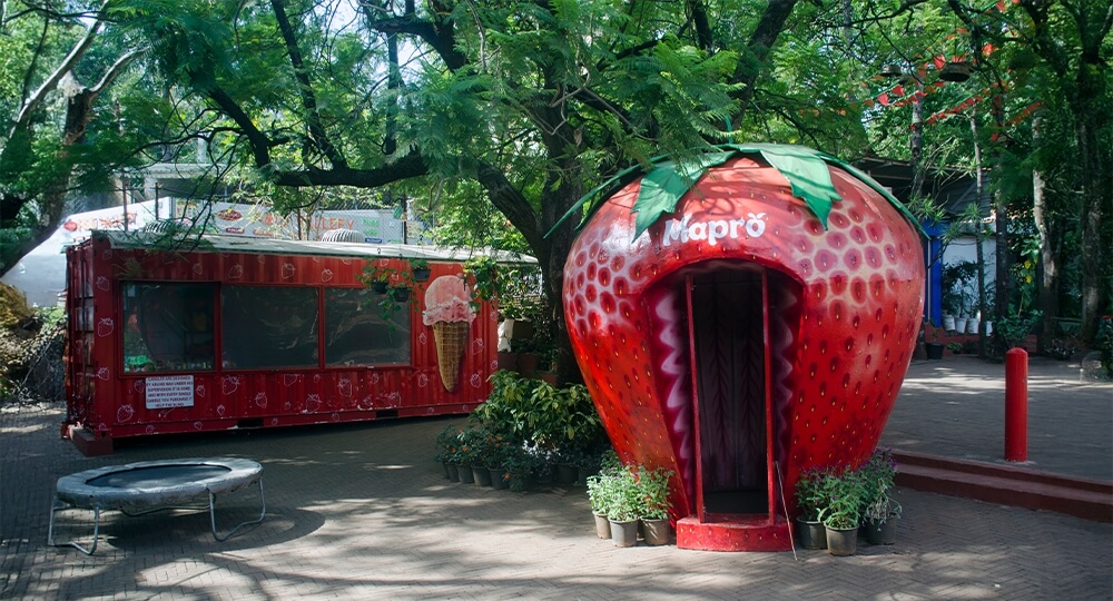 mahabaleshwar mapro garden