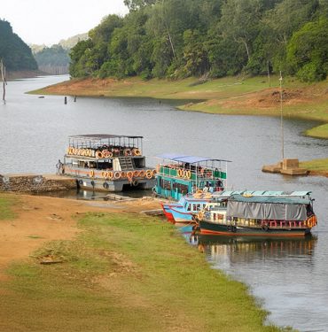 Thekkady Tour Packages