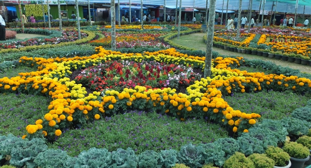 thekkady flower show kumily