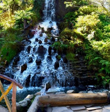 Mussoorie Tour Packages