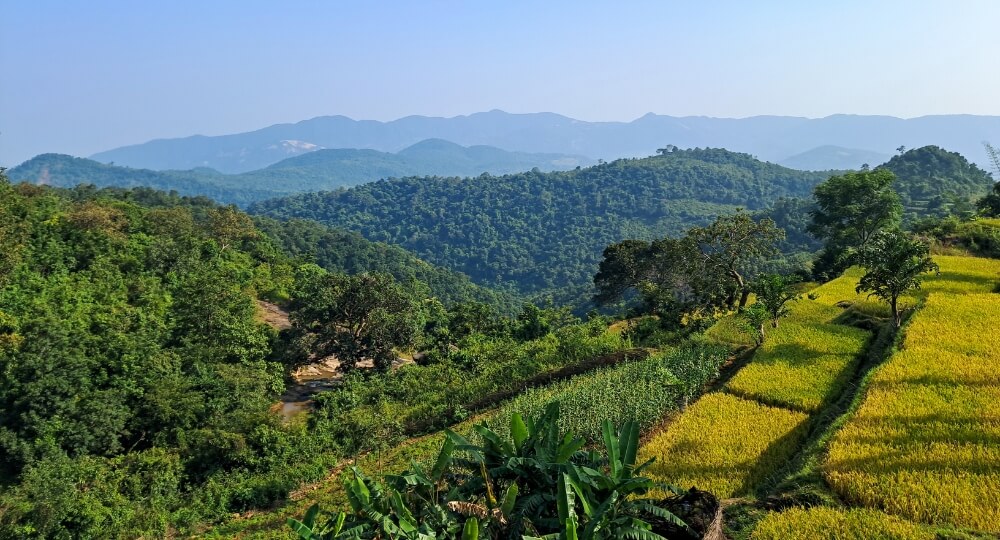 ananthagiri hills araku valley