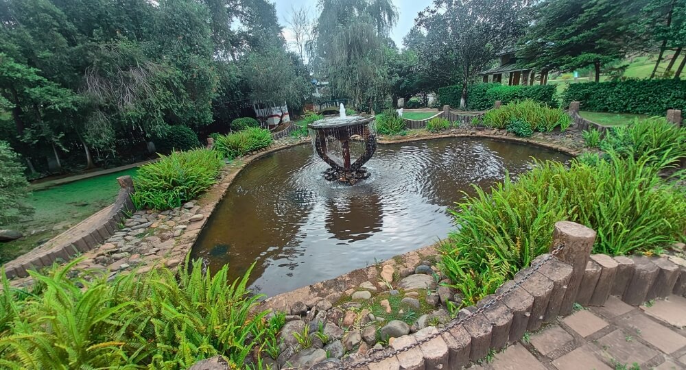 lady hydari park shillong