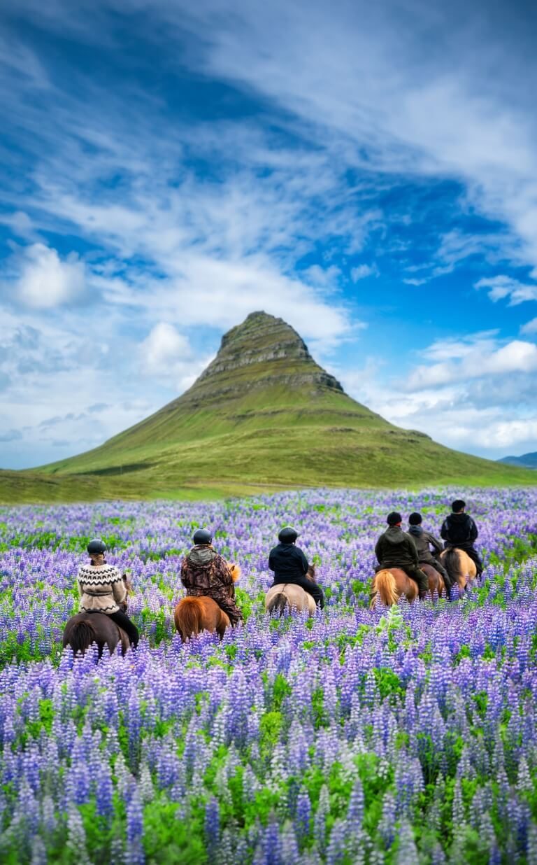 Horseback Riding