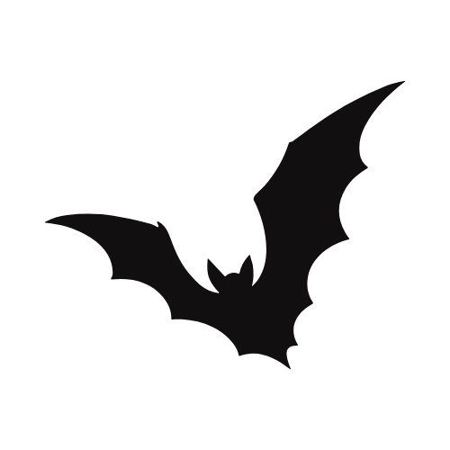 nocturnal bat