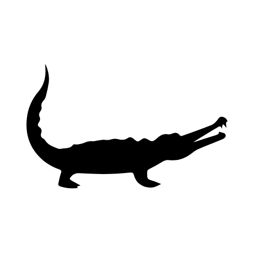 Chinese Alligator