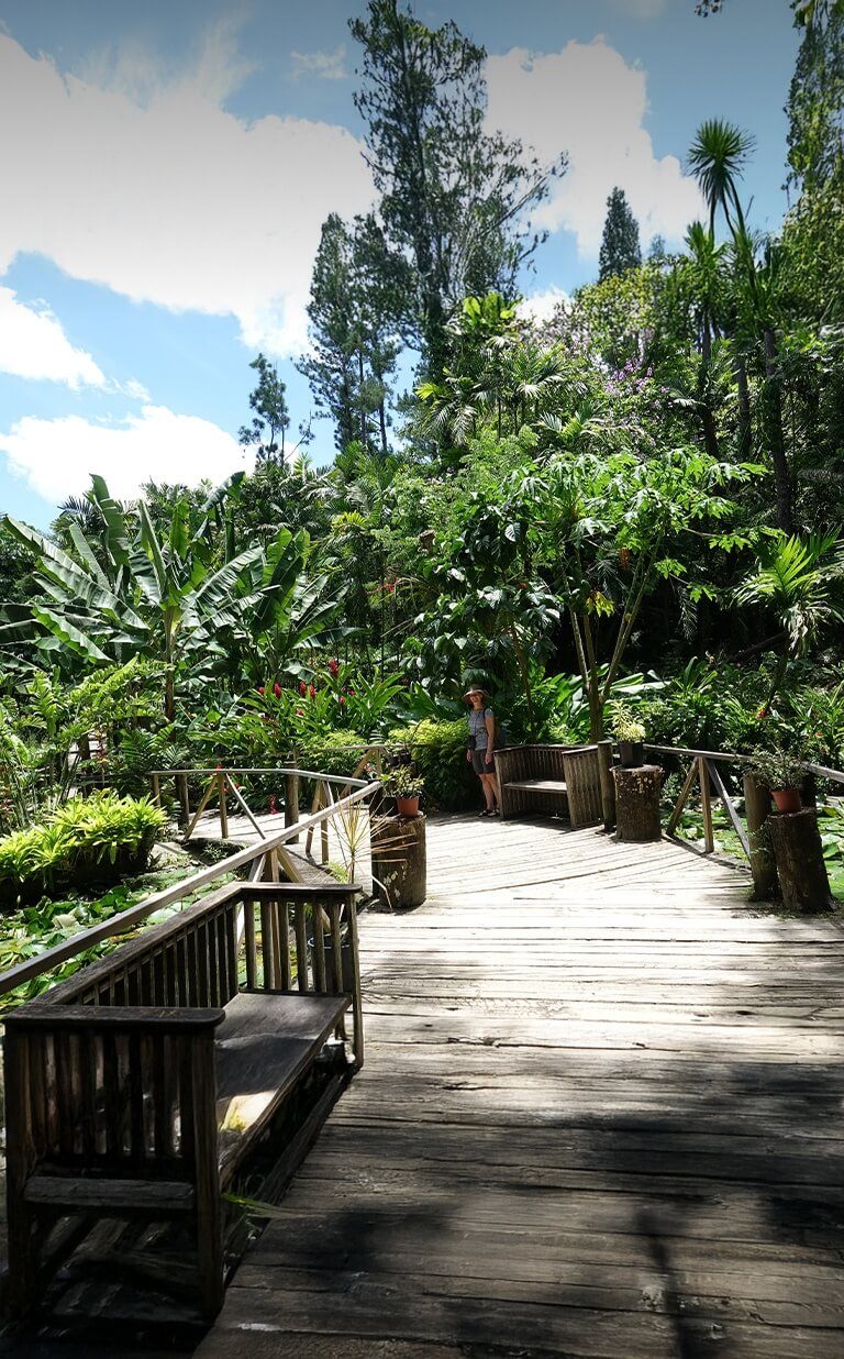 garden sleeping giant fiji