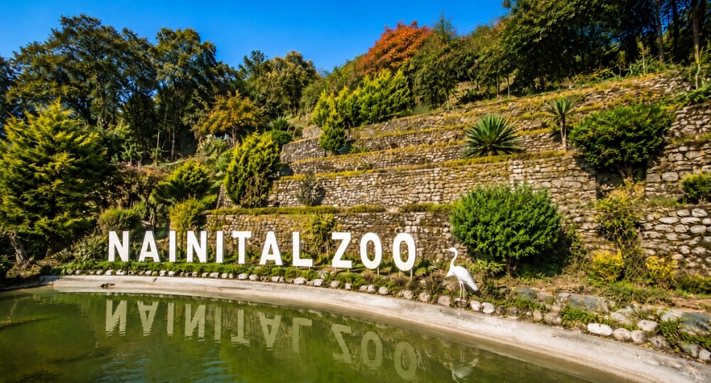 nainital zoo