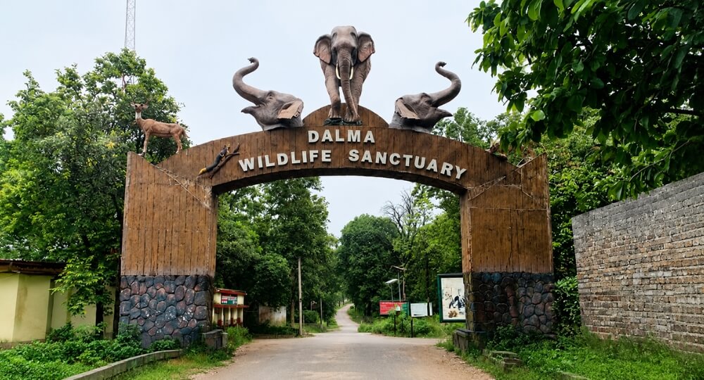 dalma wildlife sanctuary