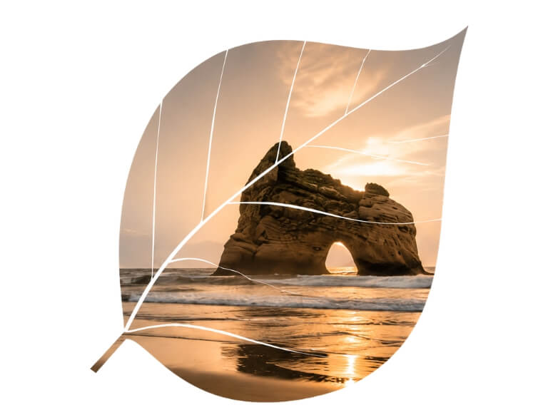 new zealand travel destination
