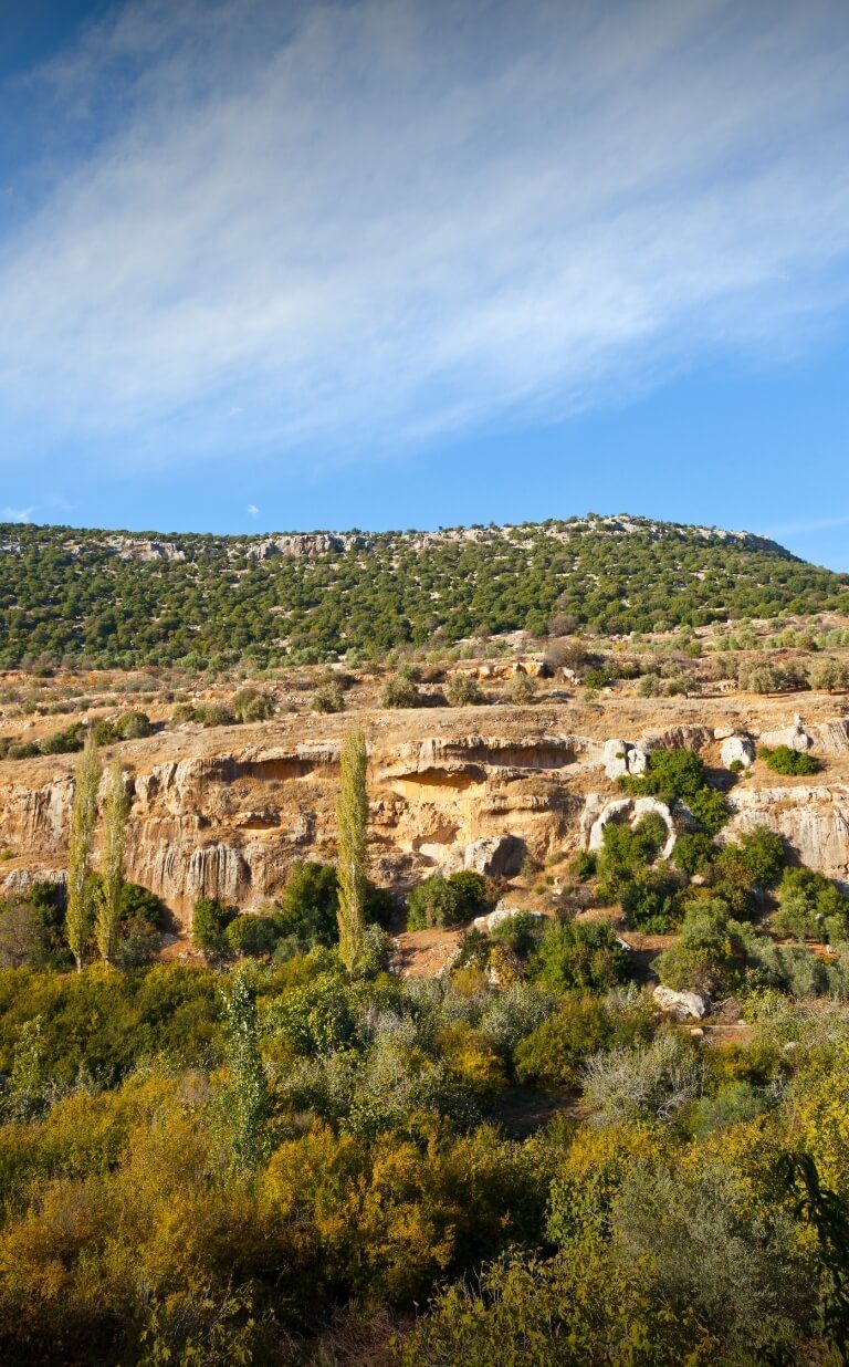 ajloun forest reserve jordan
