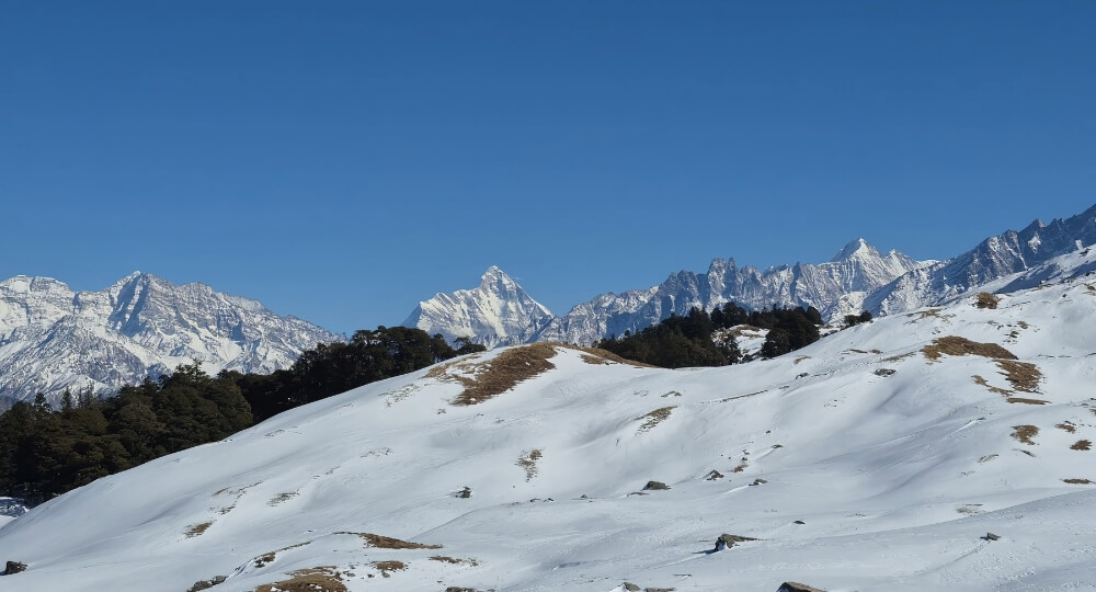 auli gorson bugyal