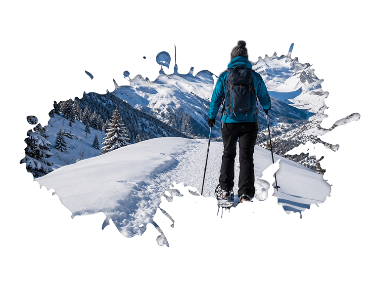 swiss vacation packages