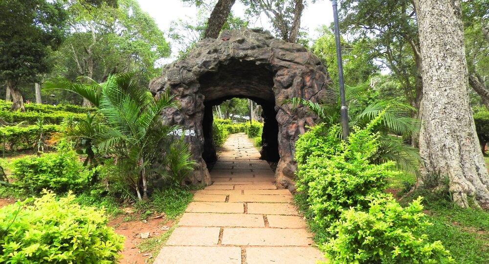 yercaud rose garden