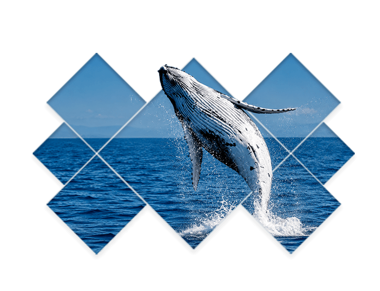 alaska trip package