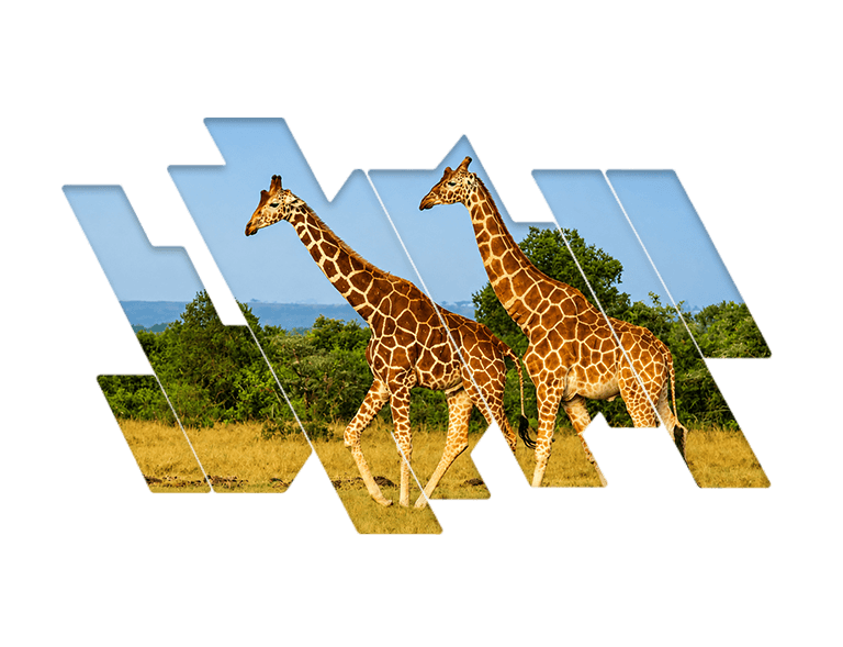 kenya wildlife tour package