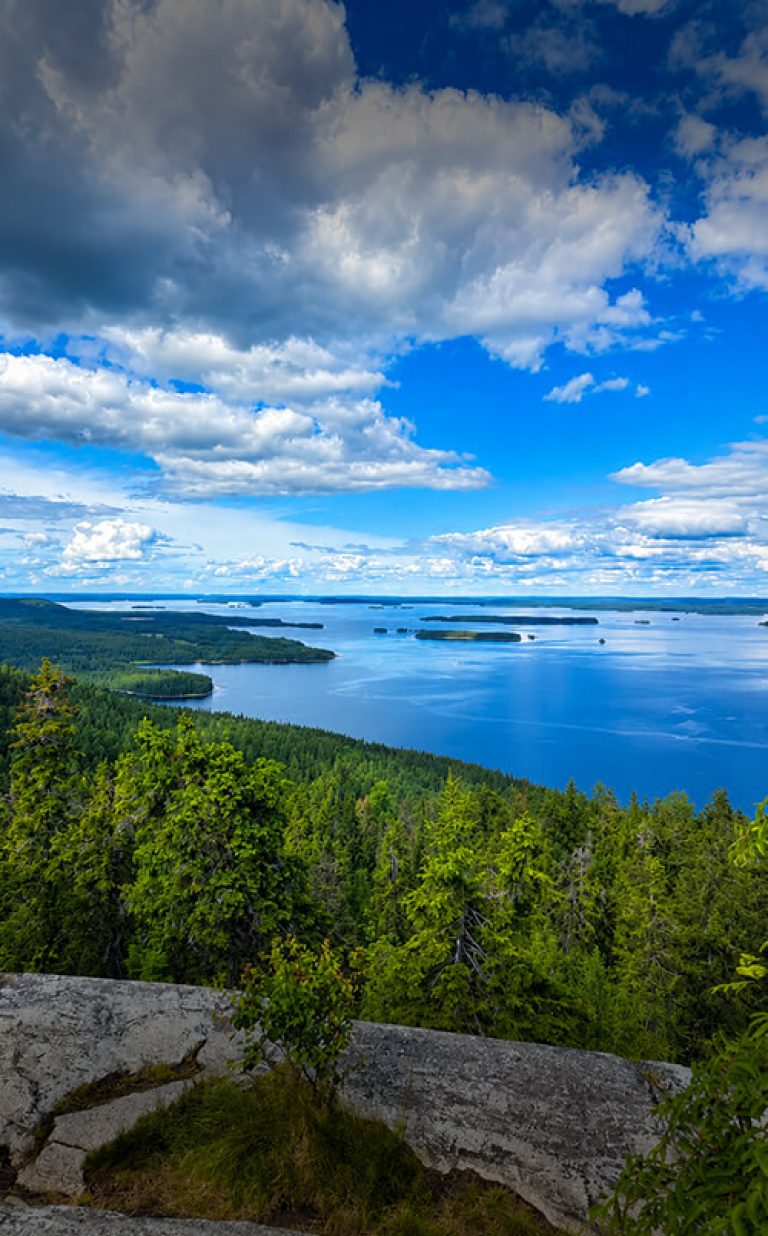 koli national park finland