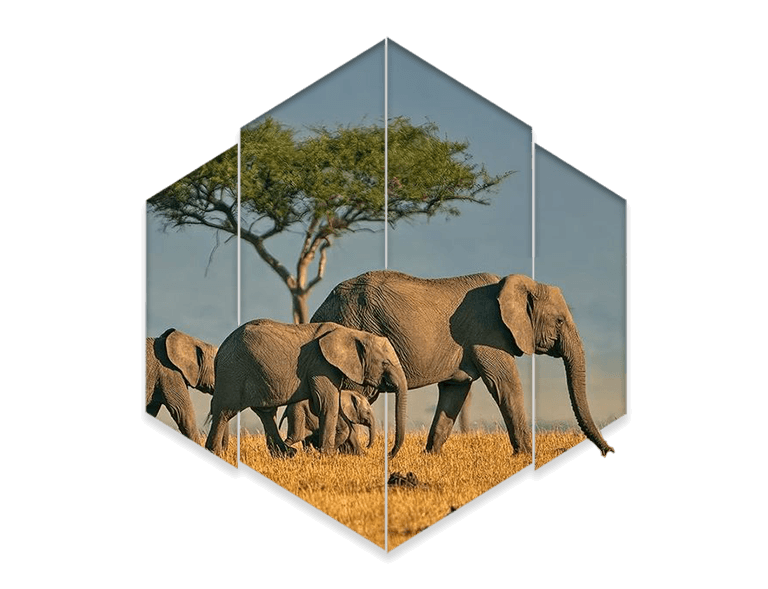 zimbabwe tourism package