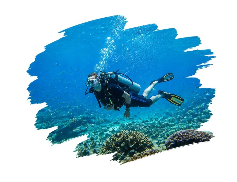 seychelles beach tour packages