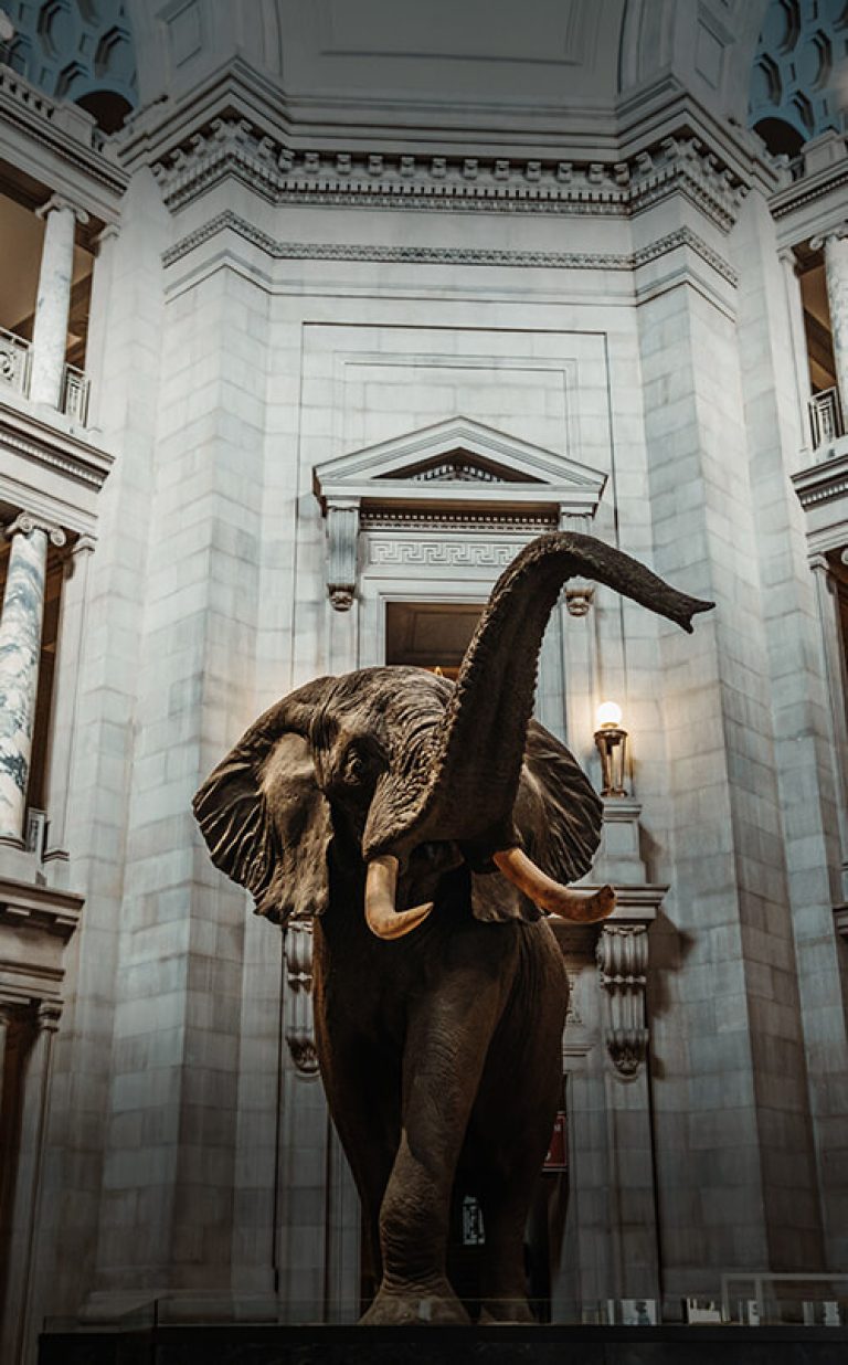 american cultural heritage museums