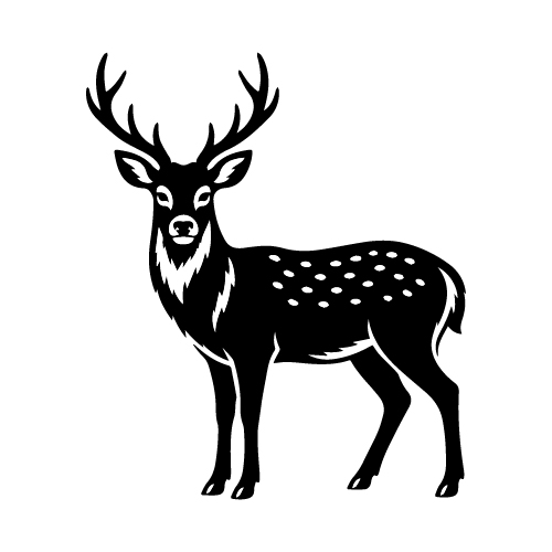 japan sika deer