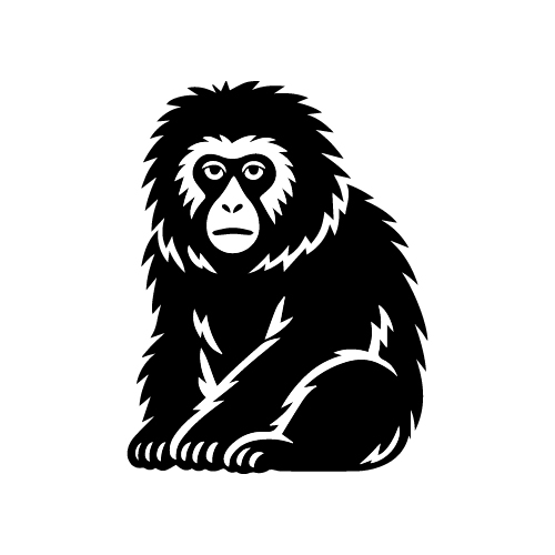 japanese macaque snow monkeys